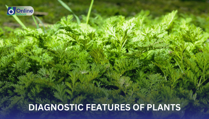 Lesson 02: Diagnostic Features of Plants